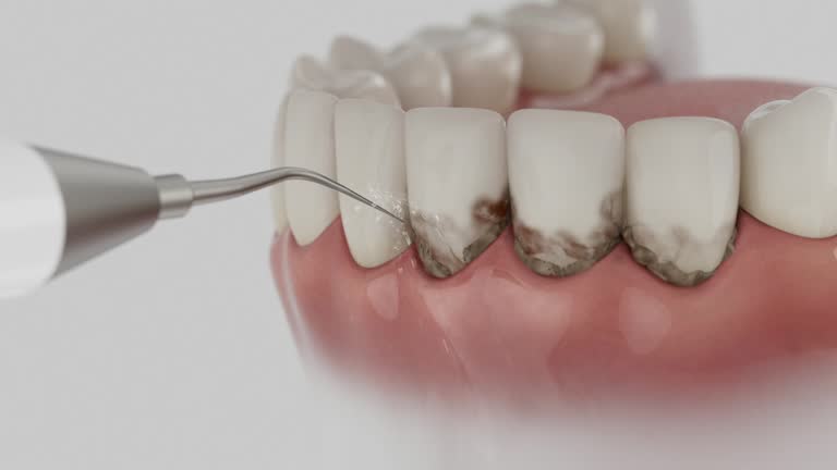 Reliable Dental contractor in Ilchester, MD by Dentist Open Now